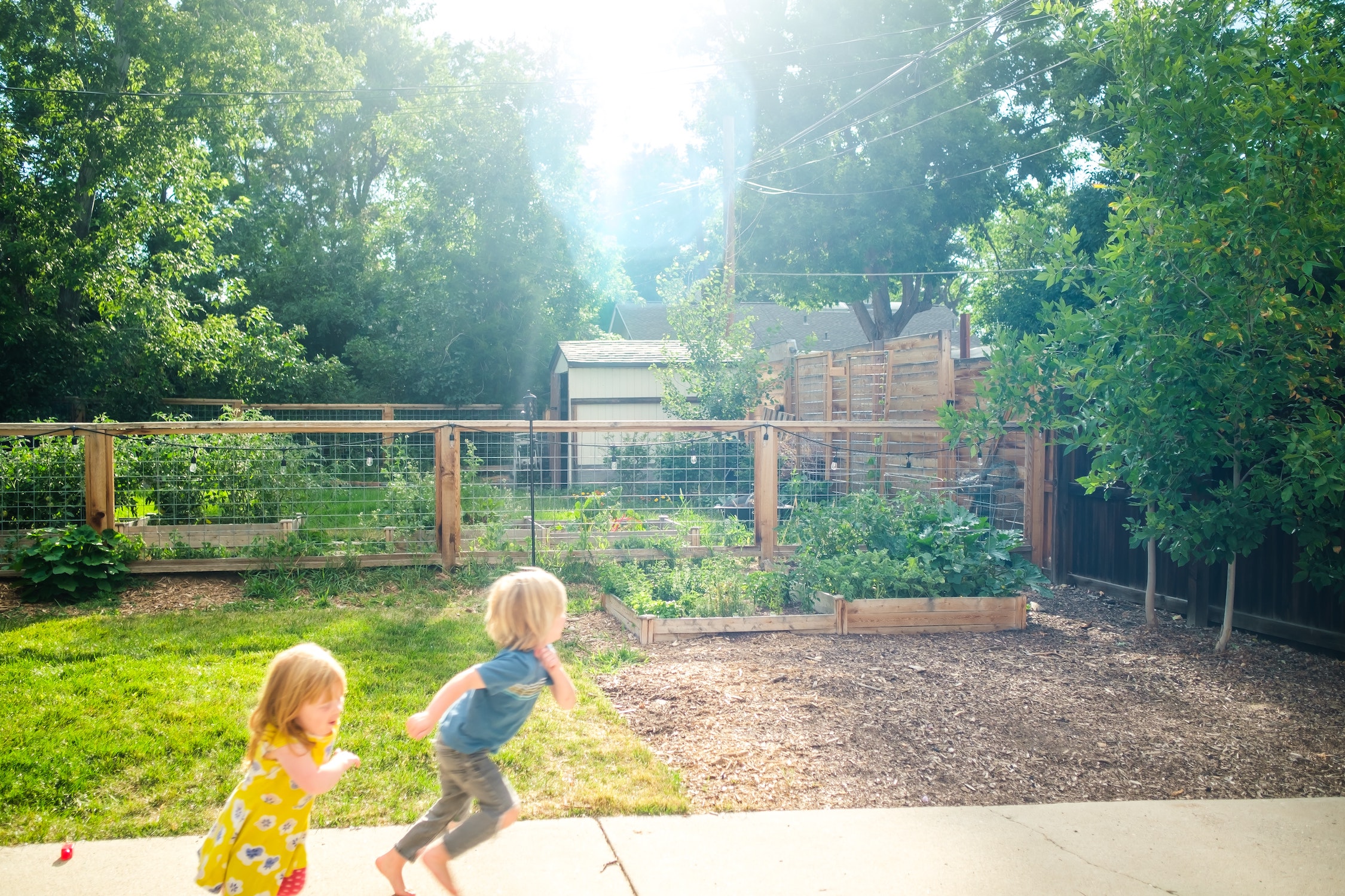 4 Steps to a Kid-Friendly Garden