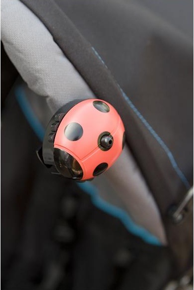 Not bitten courtesy of the Love Bug