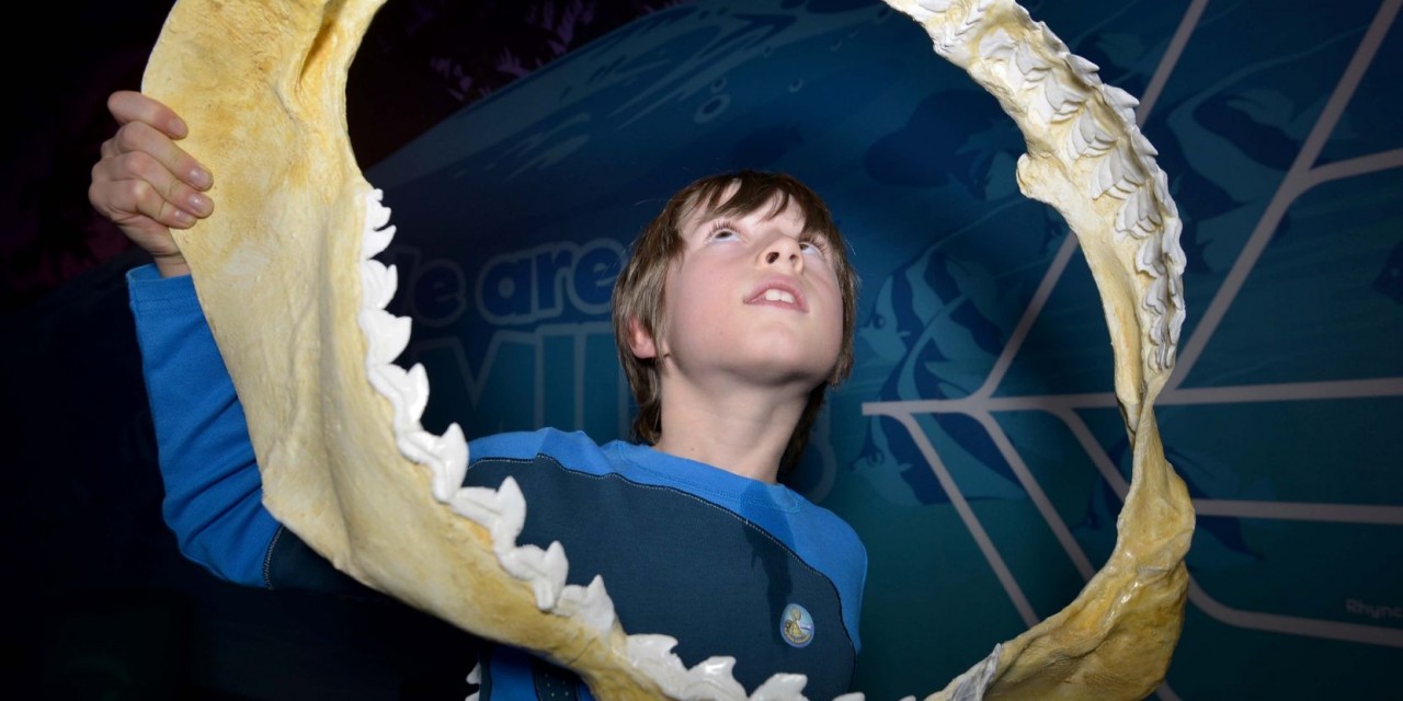 Armoured Army Invades Sea Life Manchester