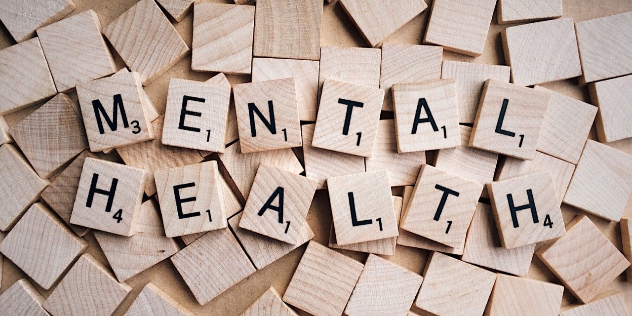 3 Career Options For Those Qualified in Mental Health
