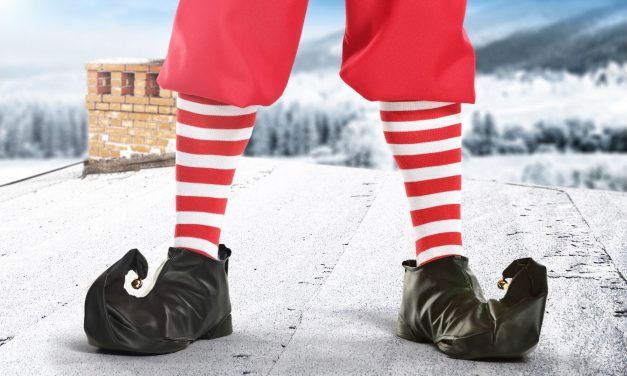 THE ELF ADVENTURE CHALLENGE