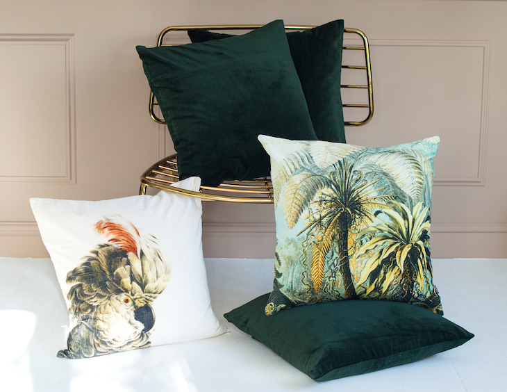 Green Velvet Cushion £35.50. Parrot Velvet Cushion £38. Topical Velvet Cushion £38