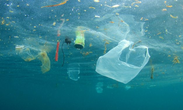 10 Tips For Living With Less Plastic