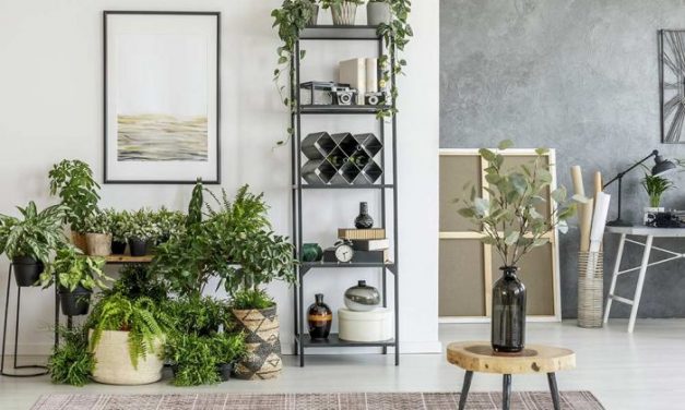 How To Transform Your Interiors Without Blowing The Budget