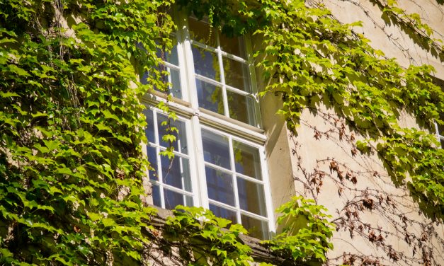 How to Maintain your Sash Windows?
