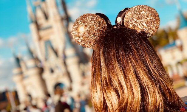 6 Top Attractions for Families in Orlando
