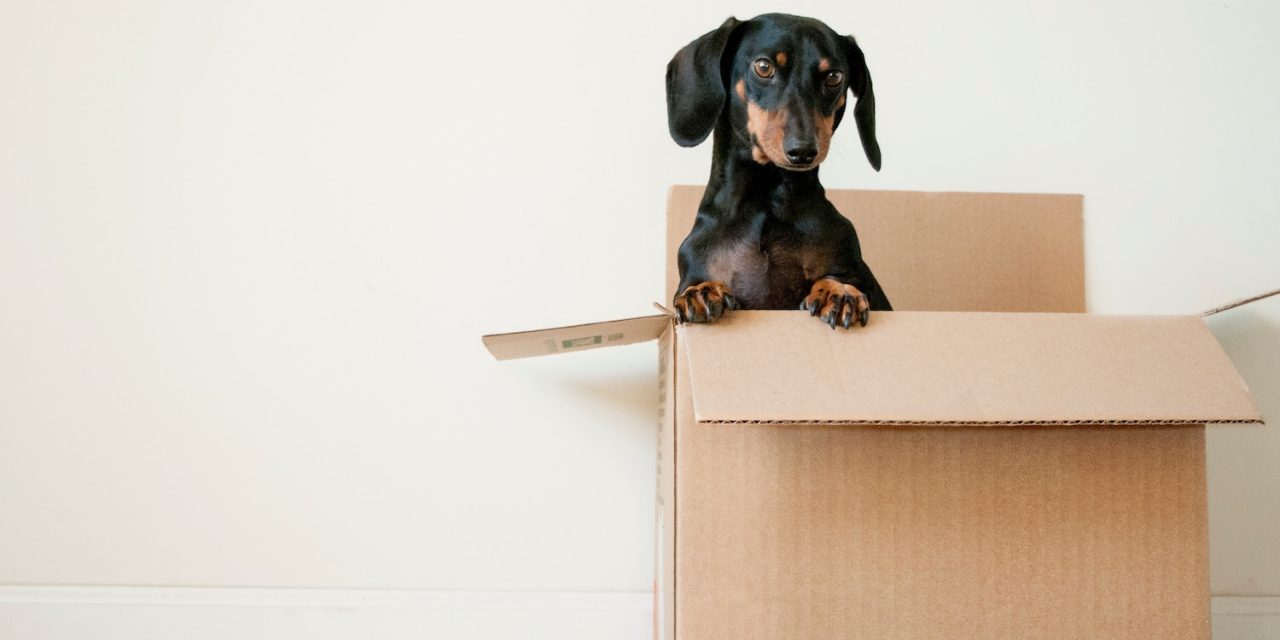5 Things to Do When Moving House