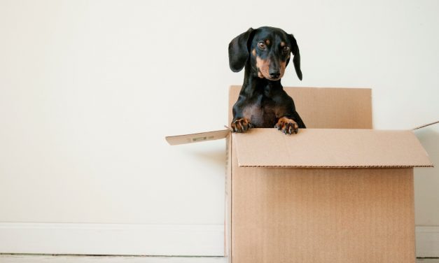 5 Things to Do When Moving House