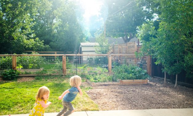 4 Steps to a Kid-Friendly Garden