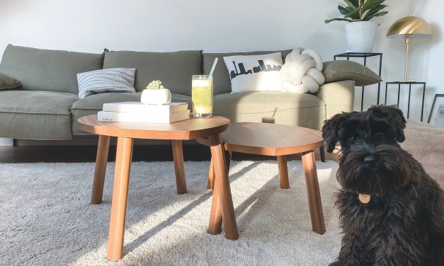 The Dos and Don’ts of Choosing a Carpet for Your Living Room