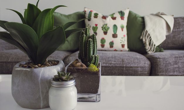 Three Steps That Will Give Your Home A Fresh Look This Summer