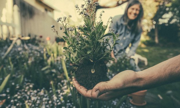 Perfect Gifts Ideas for Gardeners
